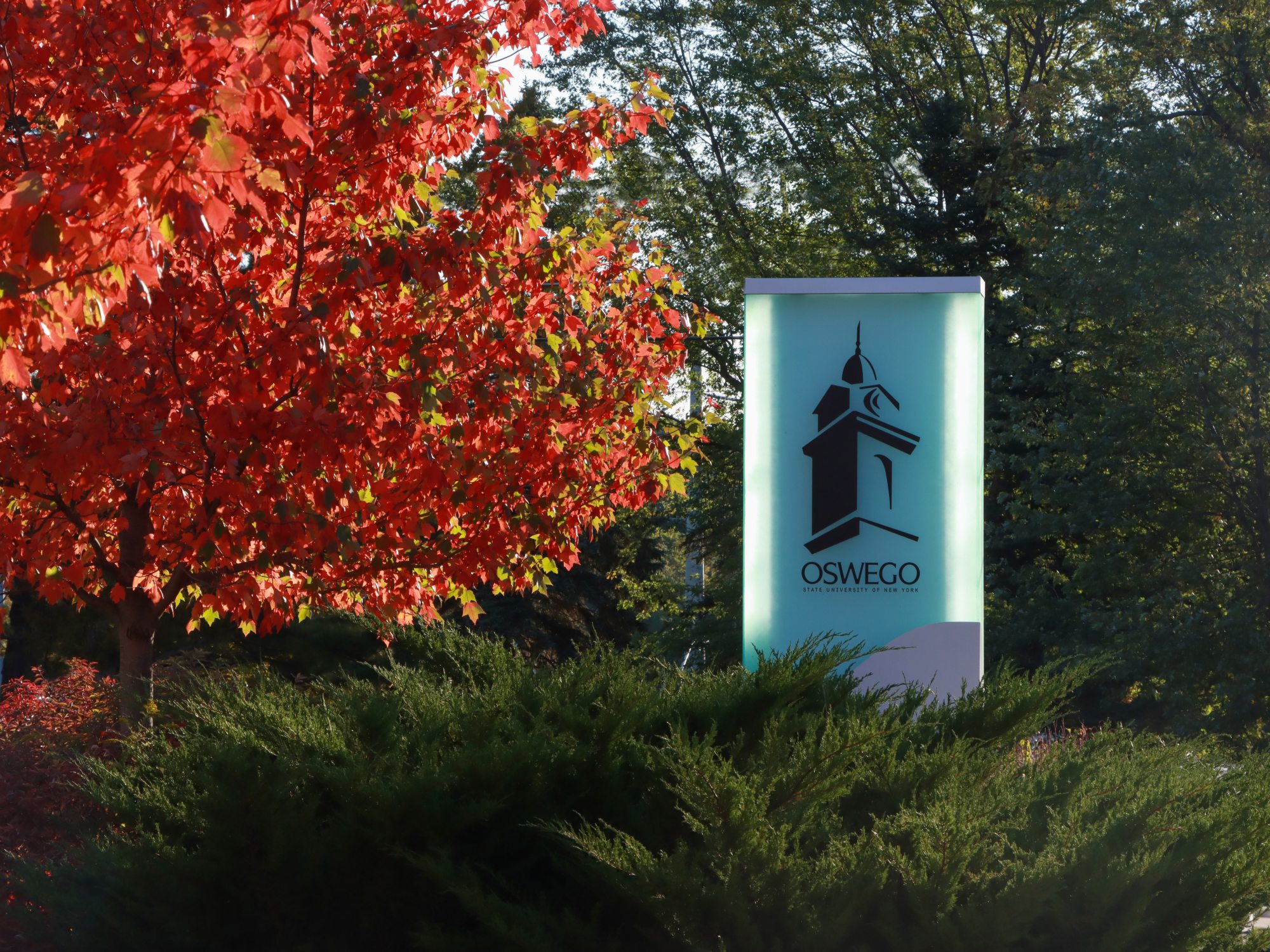 Fall campus photo
