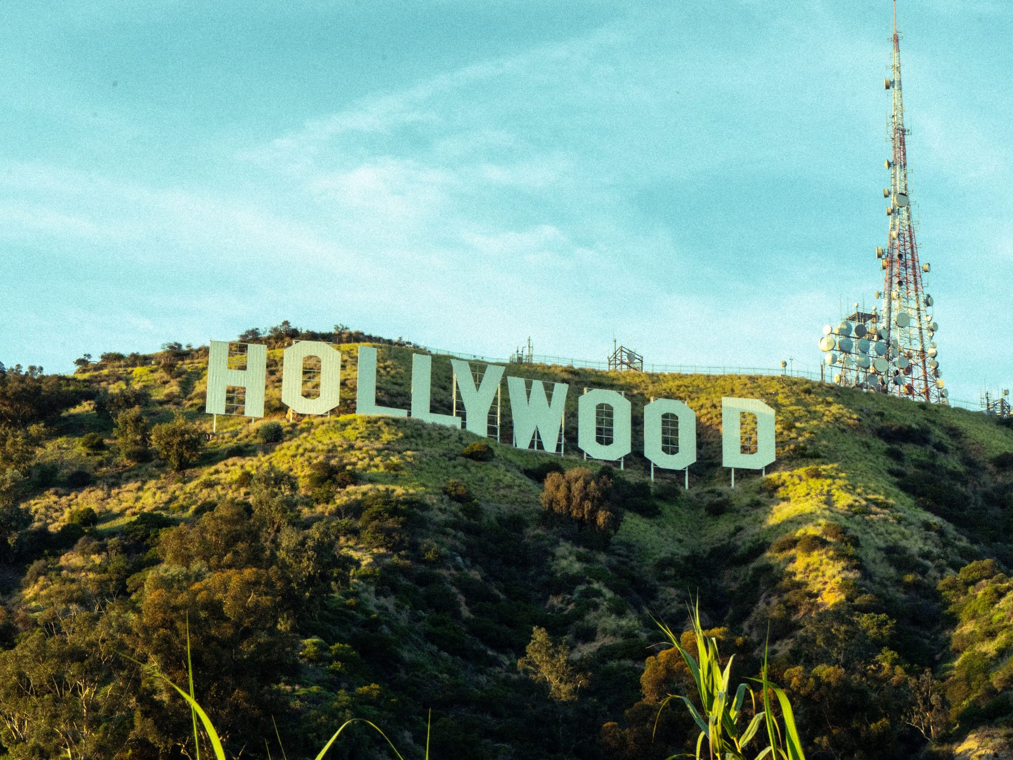 The Hollywood sign and its surrounding industry have long drawn writers, actors and filmmakers, and was among the sights and highlights of SUNY Oswego's recent Hollywood POV visit.