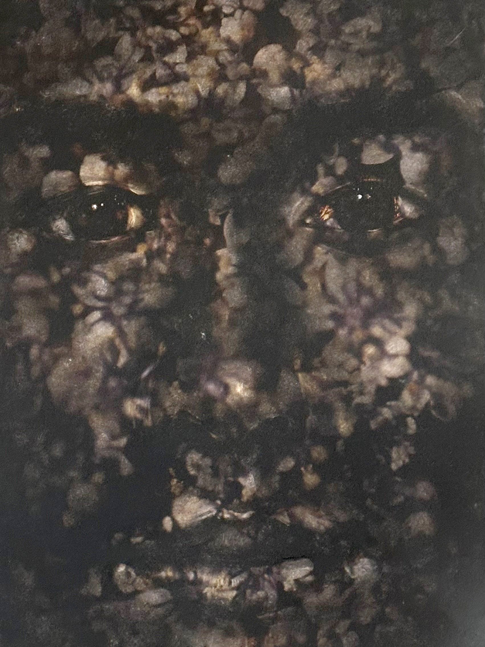 Dense face-related artwork by Juan Perdiguero