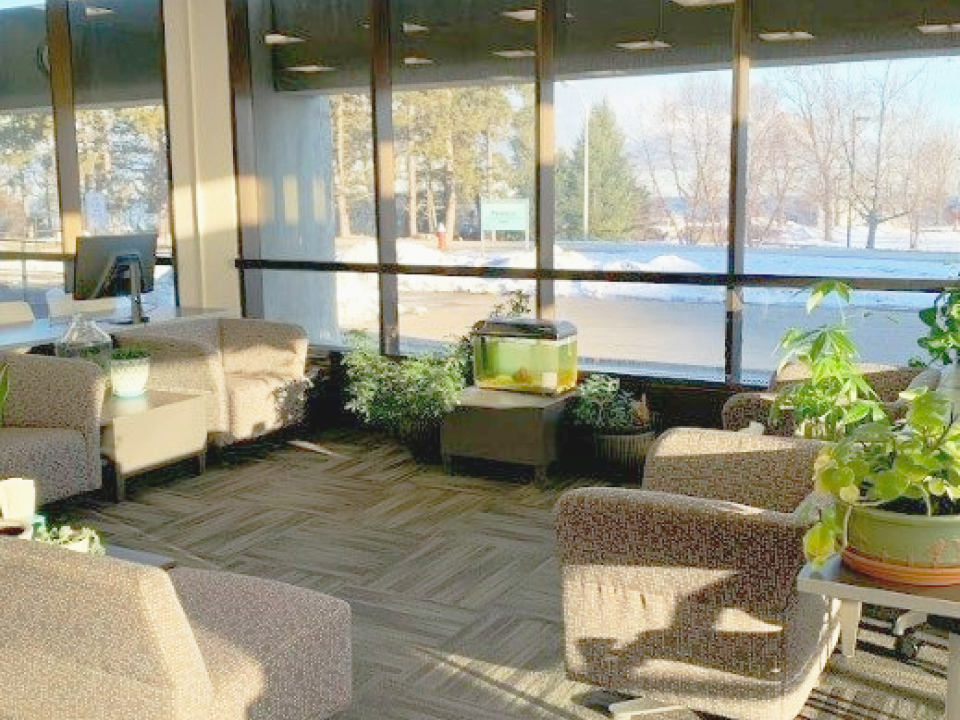 Inviting arrangement of furniture with plants, a fish tank and a view of the lake.