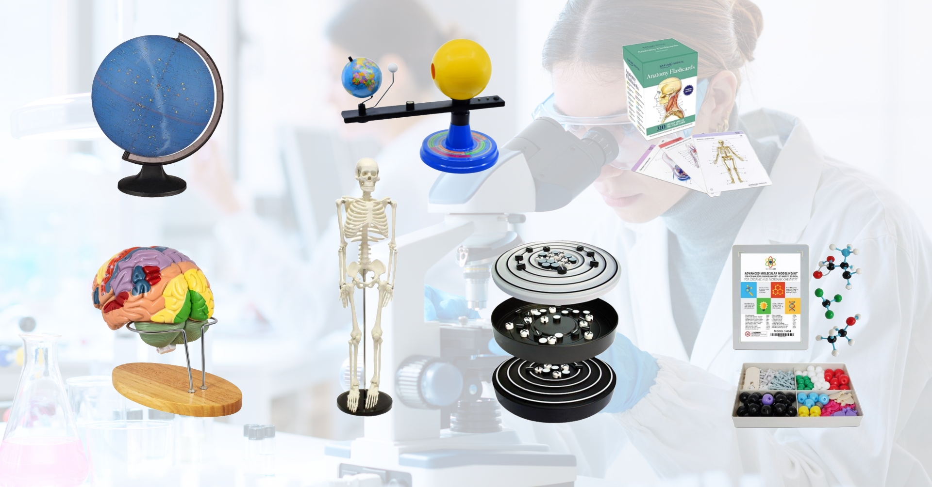 Model brain, model skeleton, atomic model, molecule kit, anatomy flash cards, celestial globe and orrery.