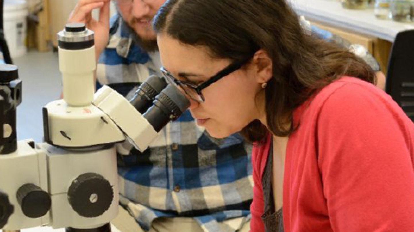 A woman in a lab looking through a microscope