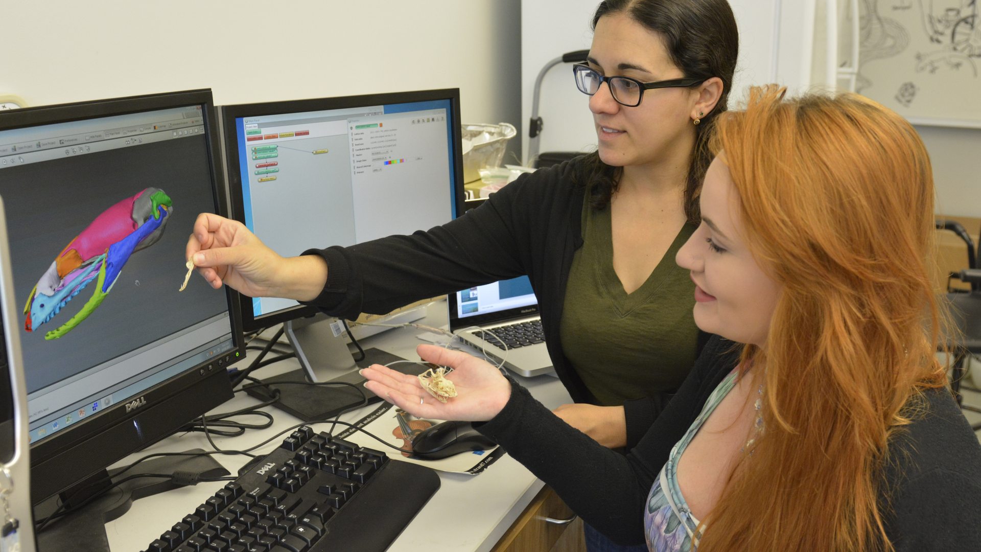 <span>Biology</span>
 header image