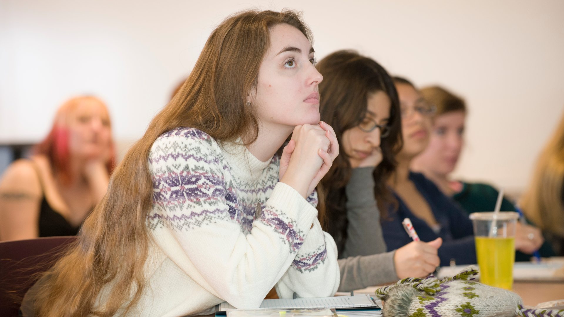 <span>Teaching English to Speakers of Other Languages (TESOL)</span>
 header image