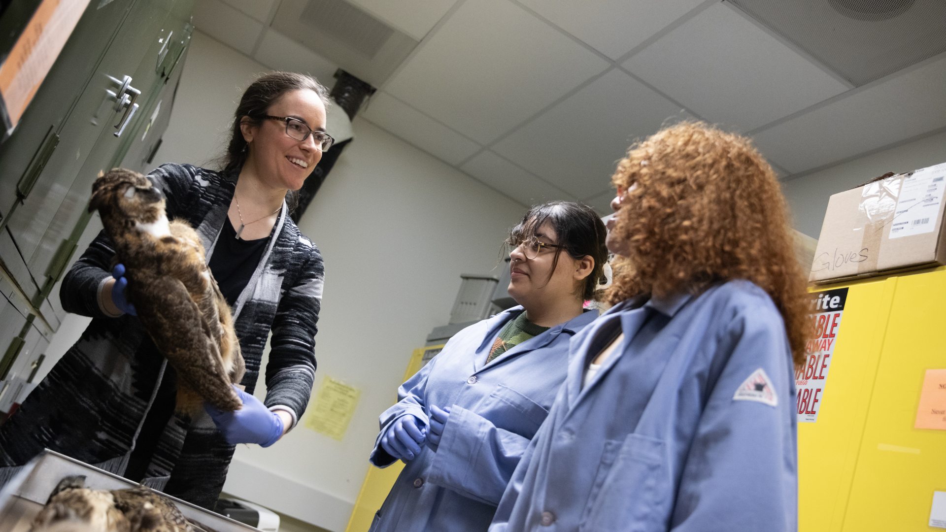 <span>Zoology</span>
 header image