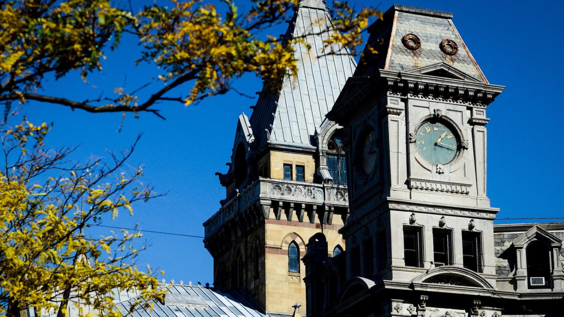 <span>Human Development Syracuse Campus</span>
 header image