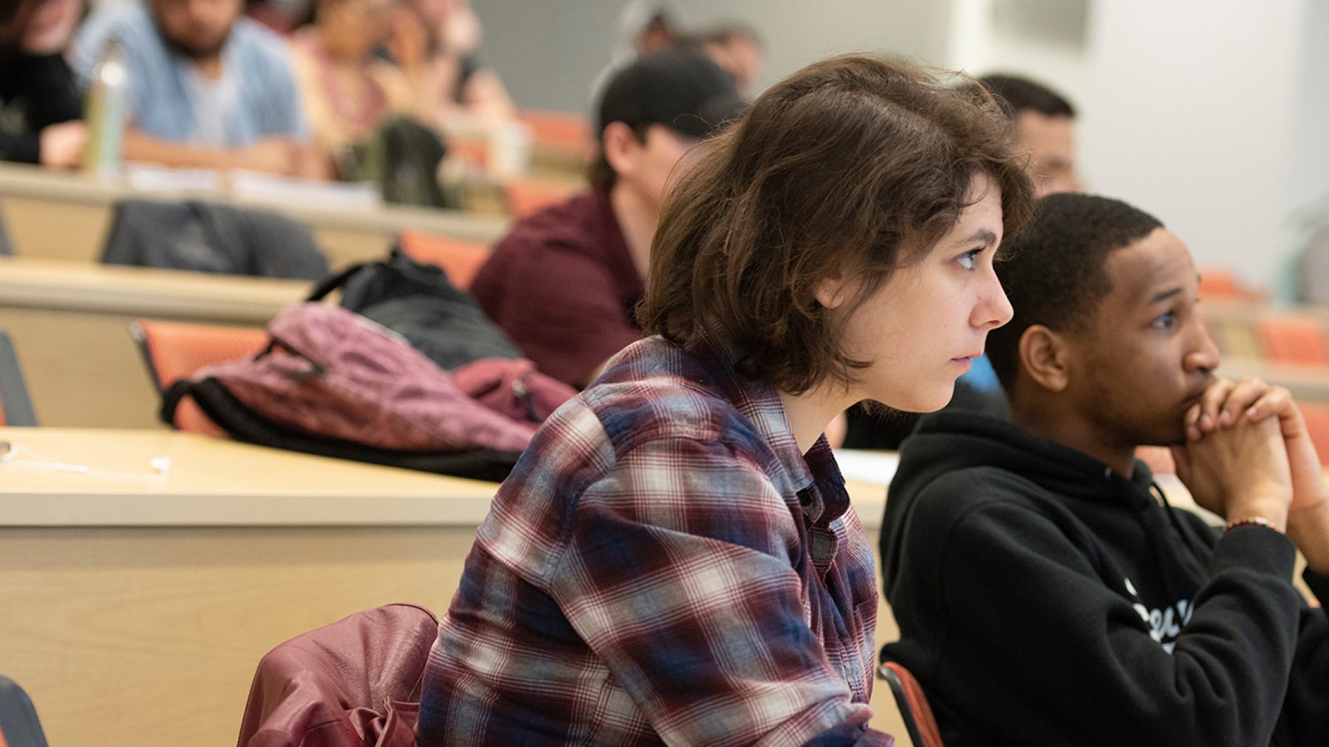 <span>Human Development</span>
 header image