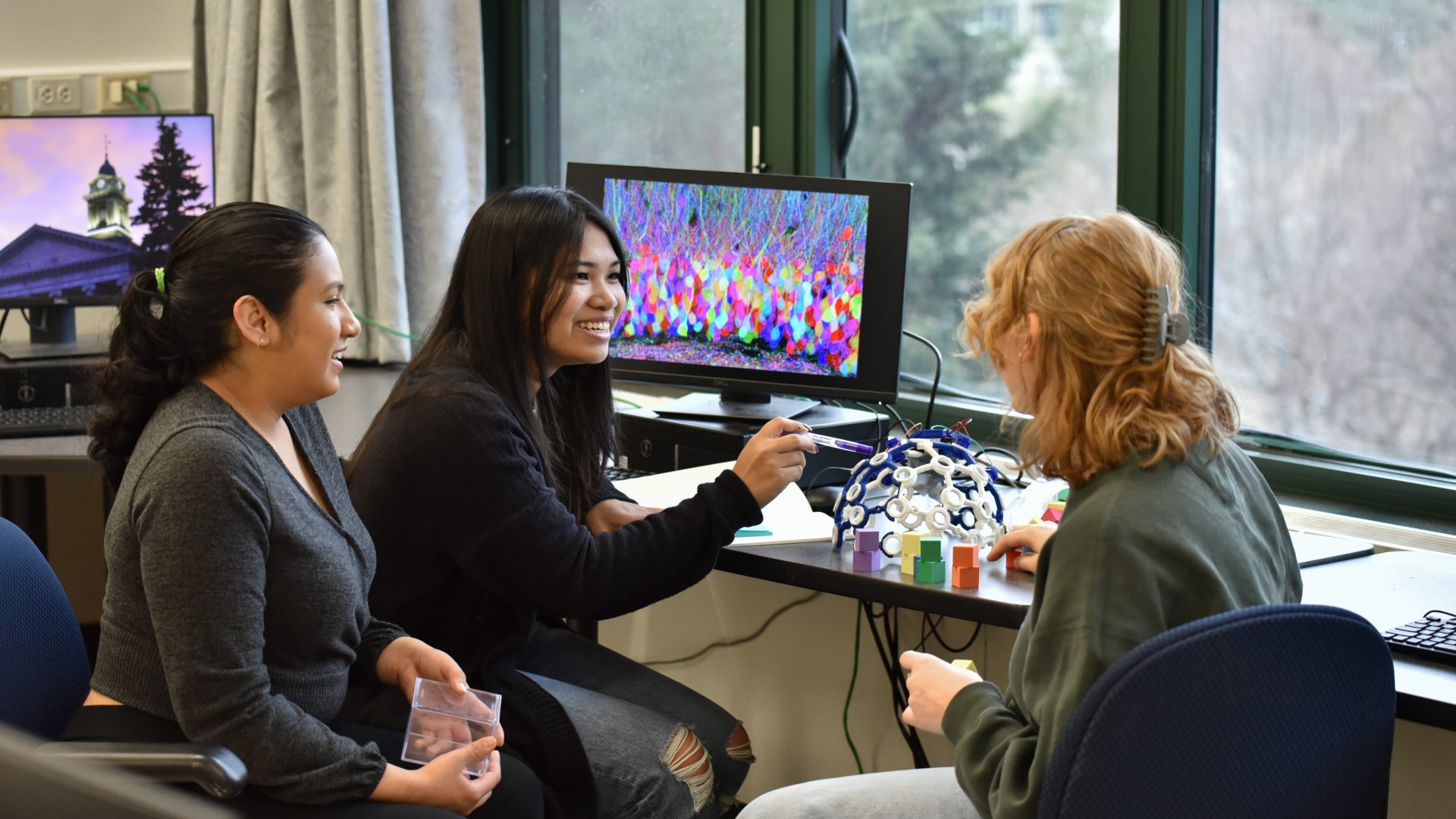 <span>Psychology</span>
 header image
