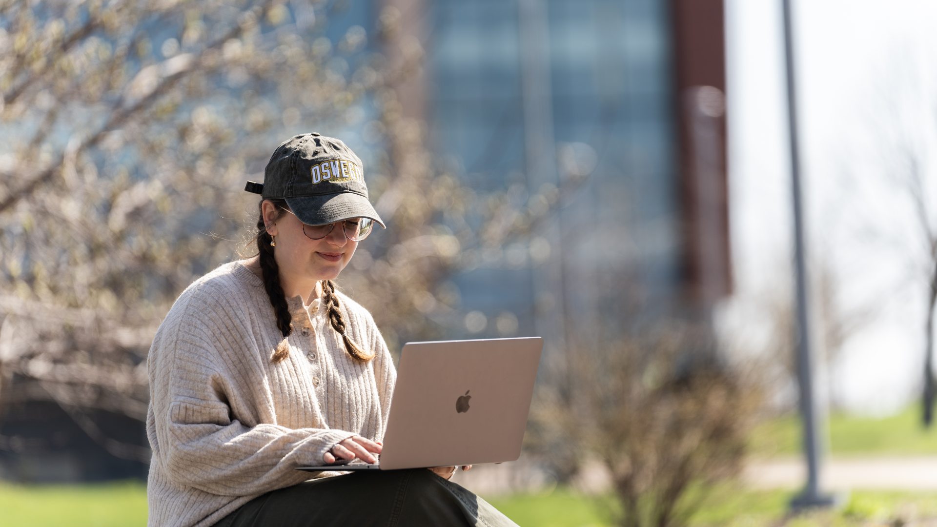 <span>Workforce Education and Development</span>
 header image