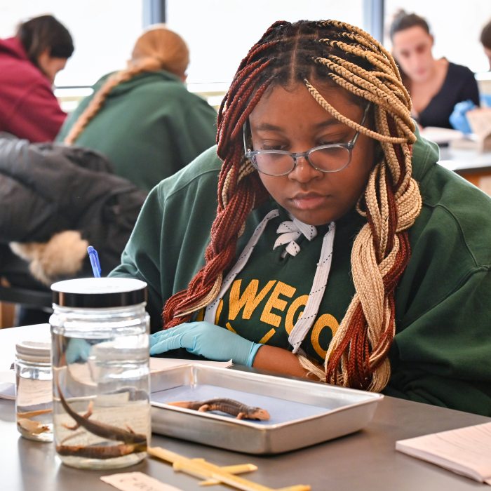 A student studies salamander specimens in a zoology lab.