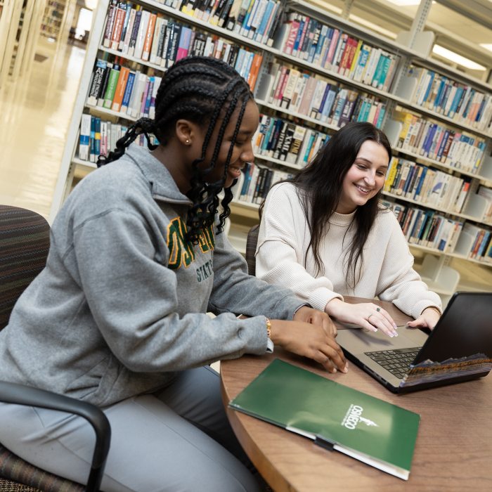 Students collaborate during a discussion in the library, using laptops.