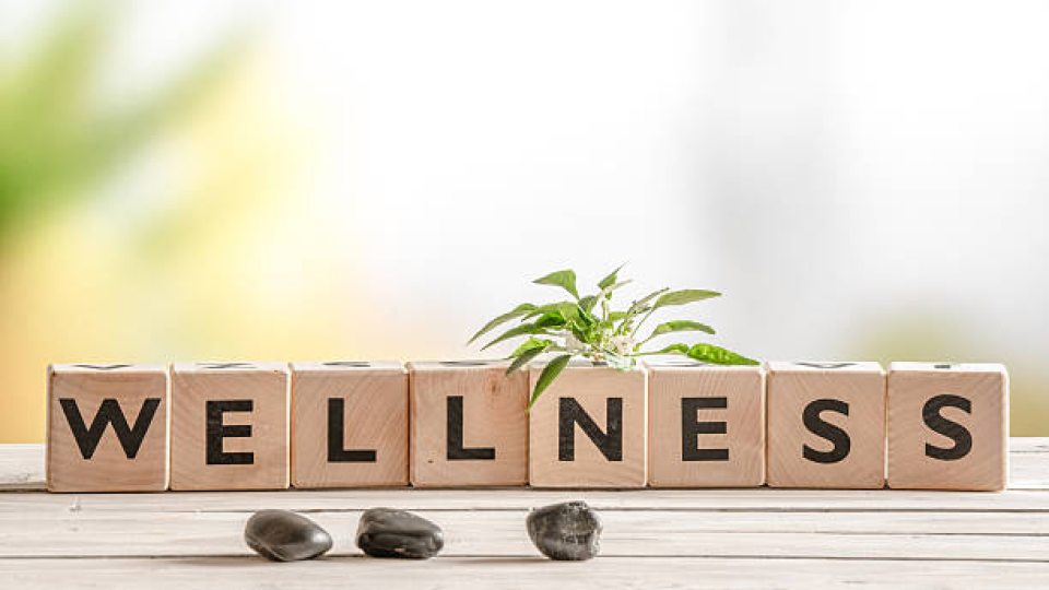 Blocks displaying the word Wellness 