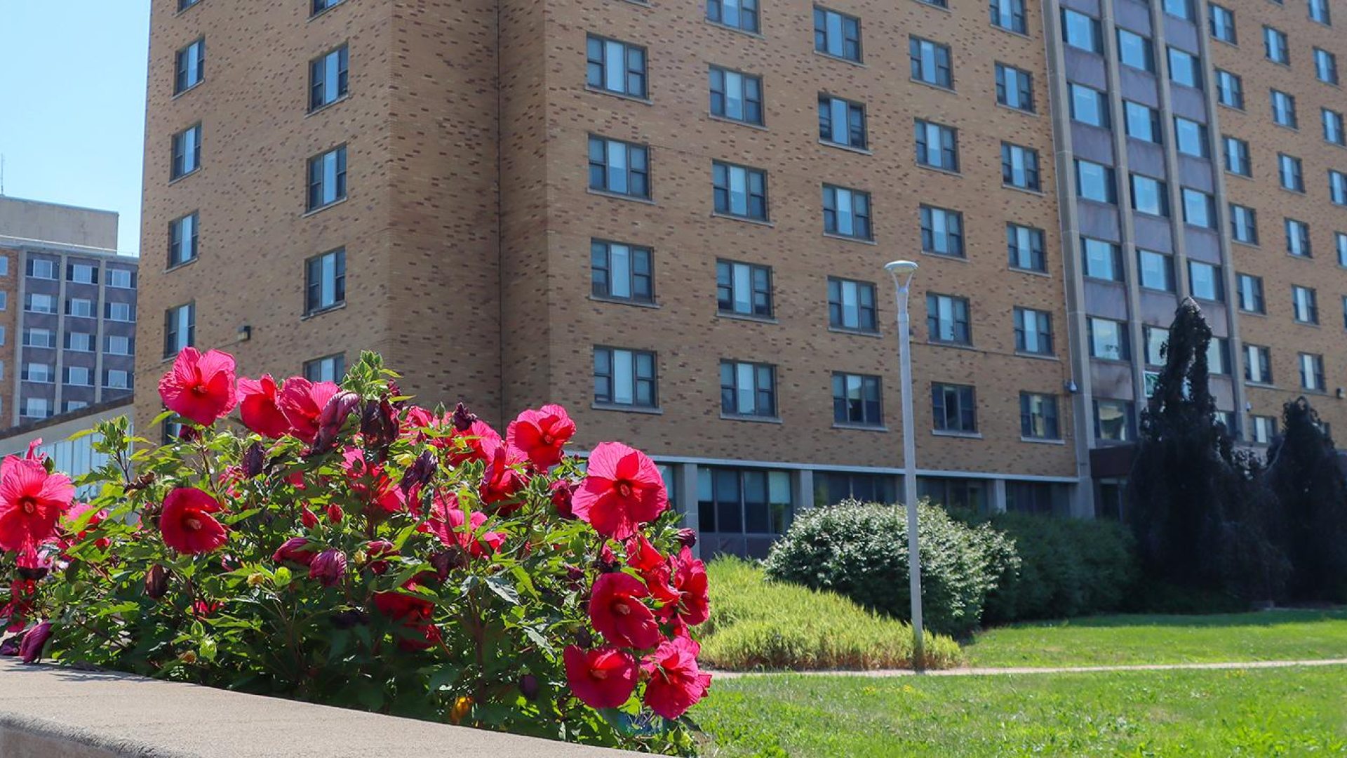 the front of Hart Hall