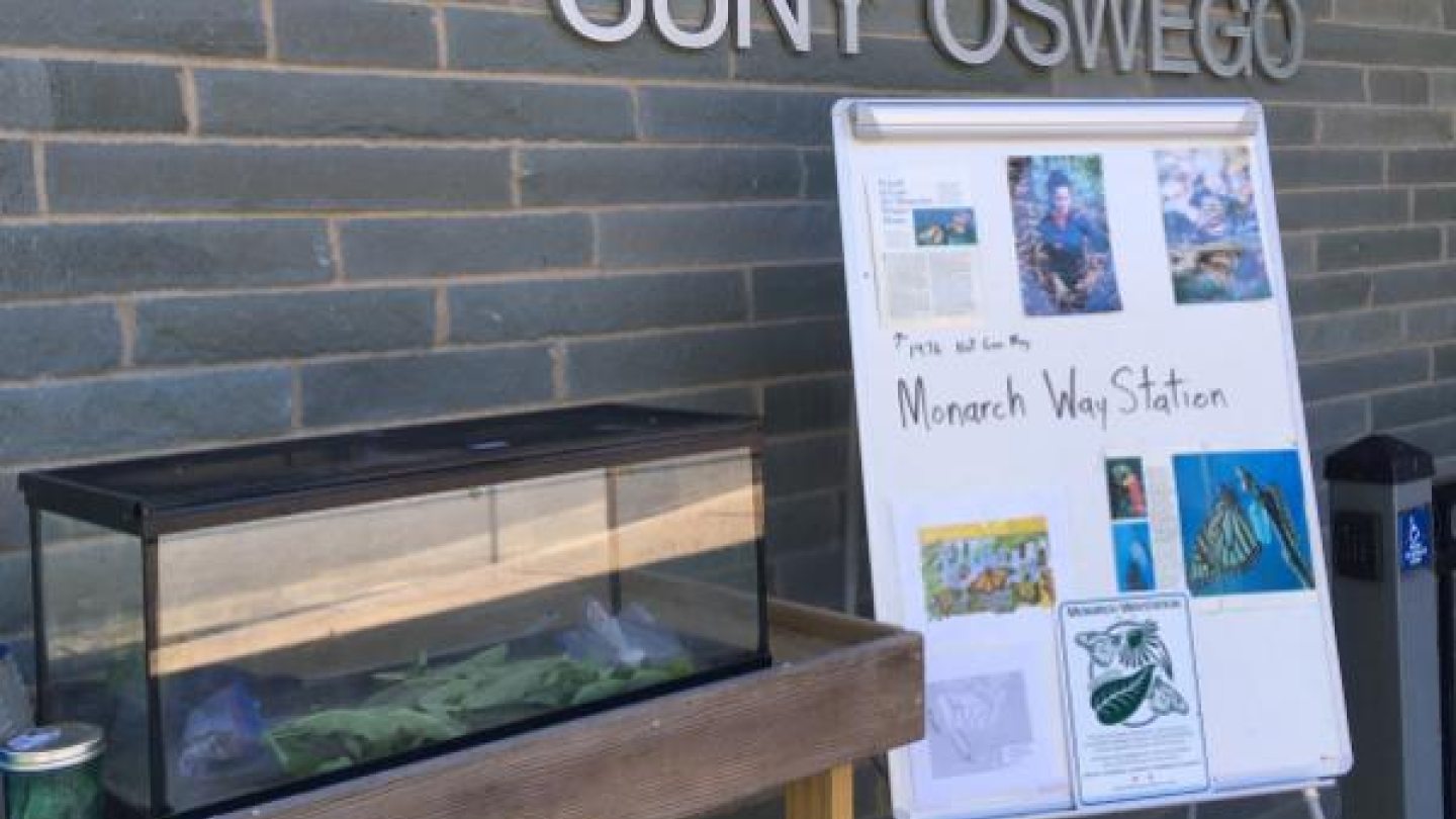 Monarch Way Station display