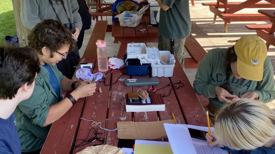 students as a summer session looking at samples