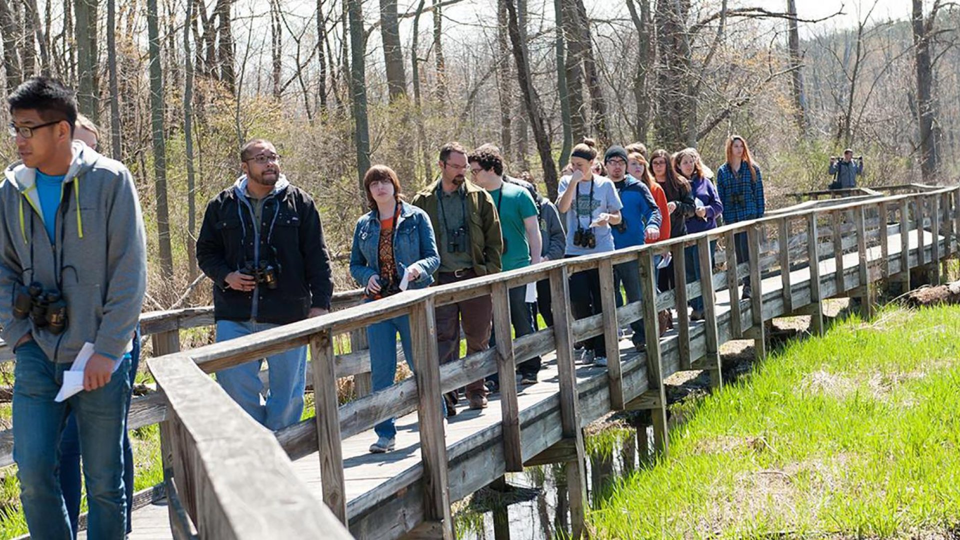 boardwalk trails