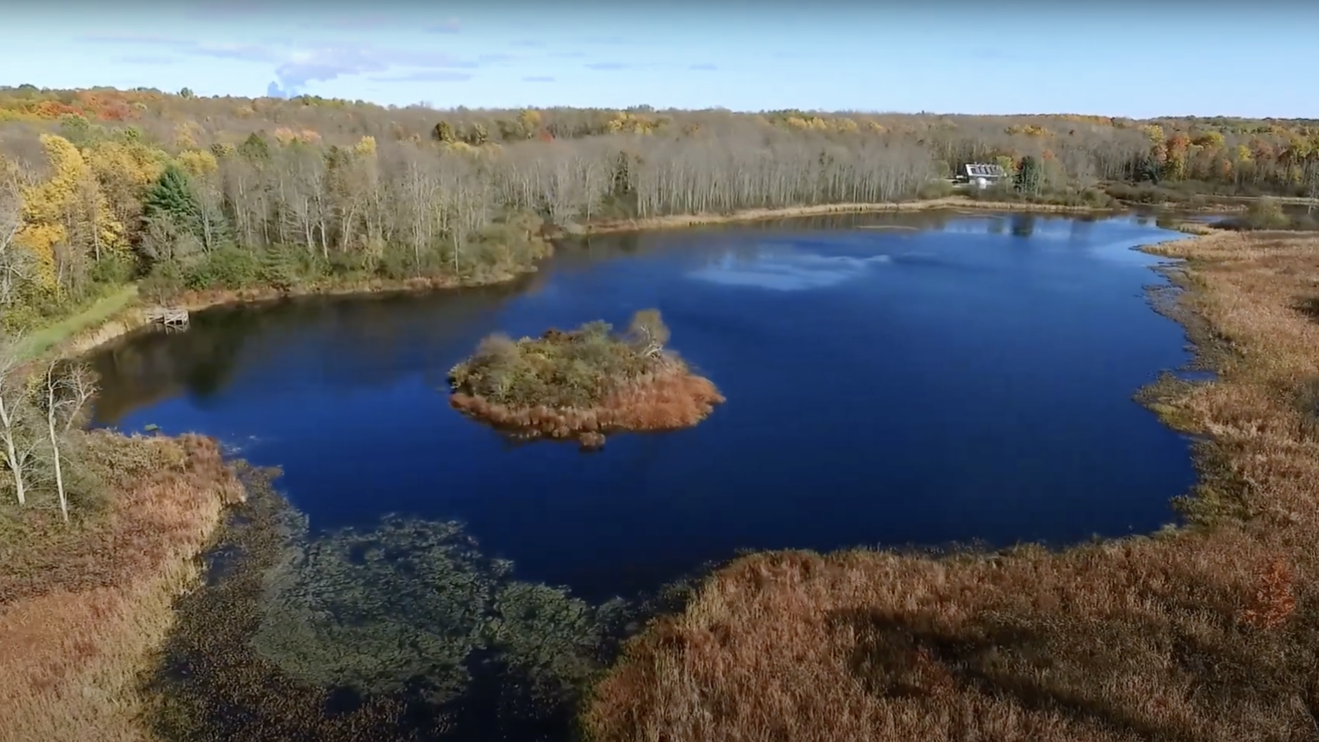 A pond in autumn, as seen from a drone