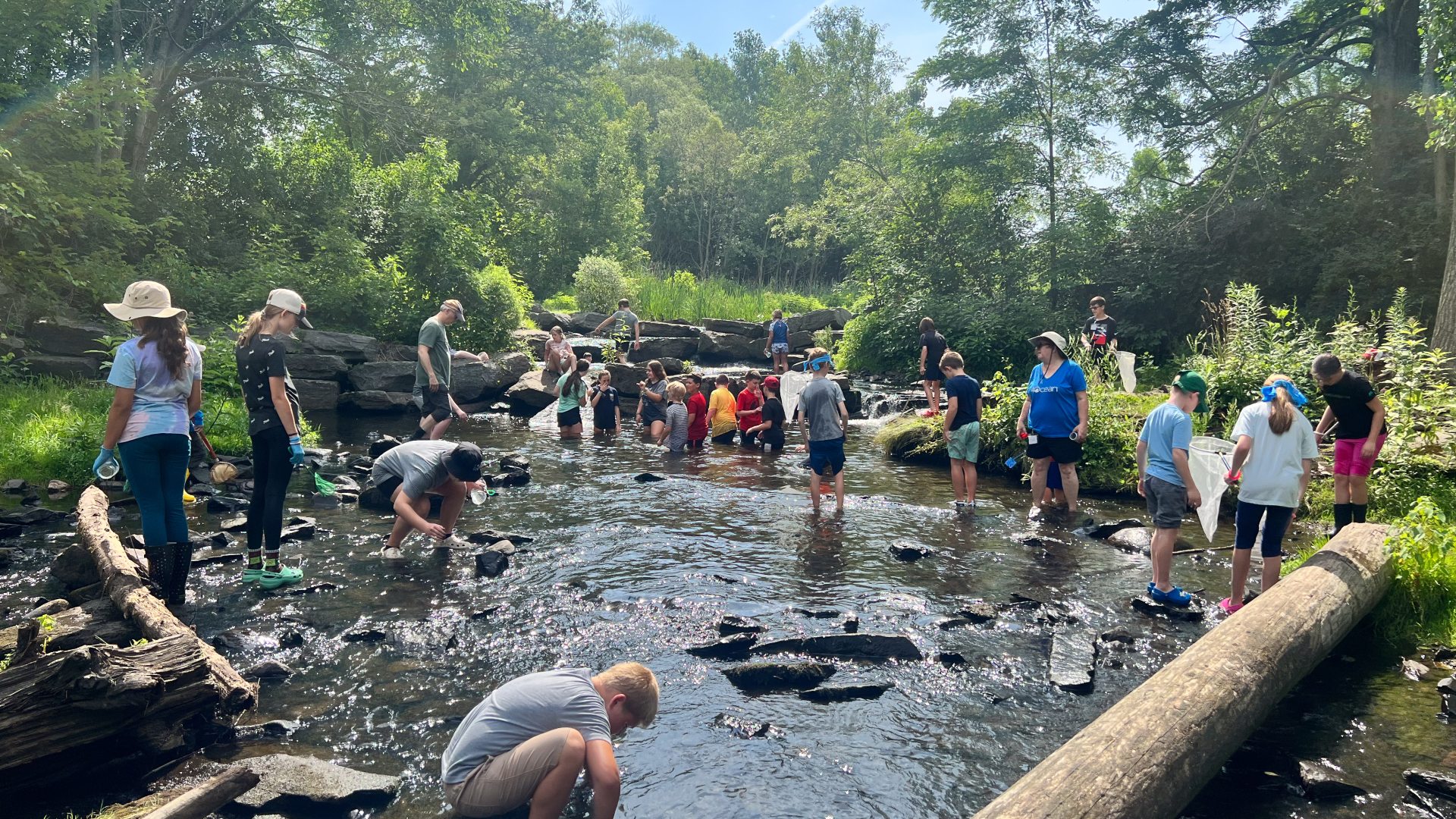 Camp day exploring in the Fallbrook Creek 