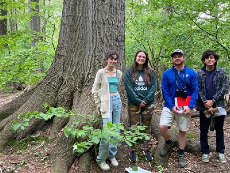 students in front of a very large tree 