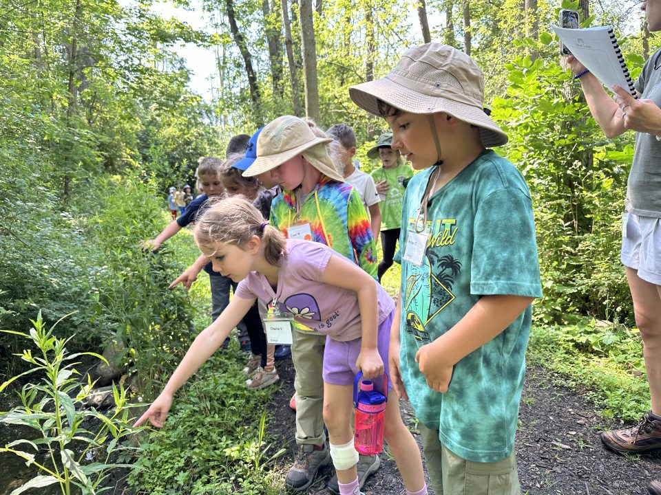 Children pointing at the ground, standing along a wooded trail