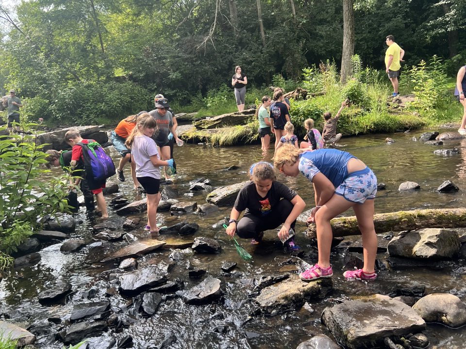 A group of kids investigating a stream