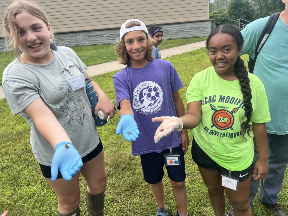 Three teenagers holding tiny toads
