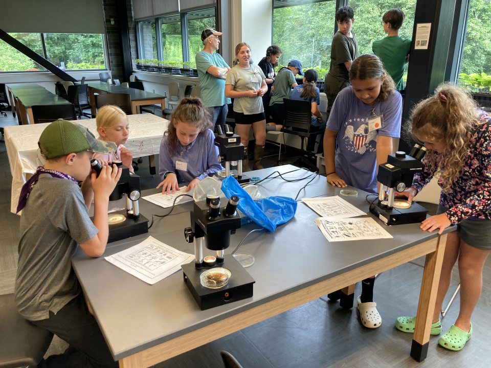 Teeangers looking into microscopes
