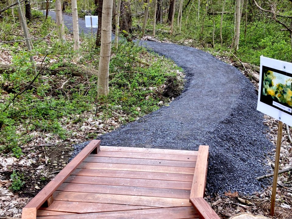 Trail through the woods with stone dust and boardwalk