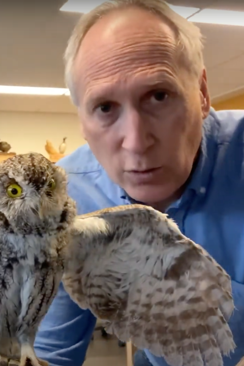 A man stands near a stuffed owl and speaks
