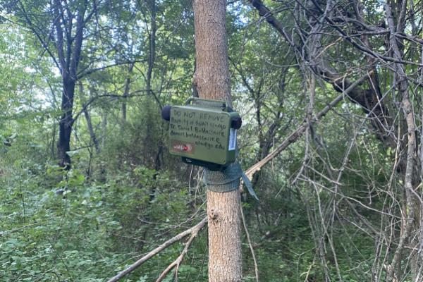 Sound recorder attached to a tree