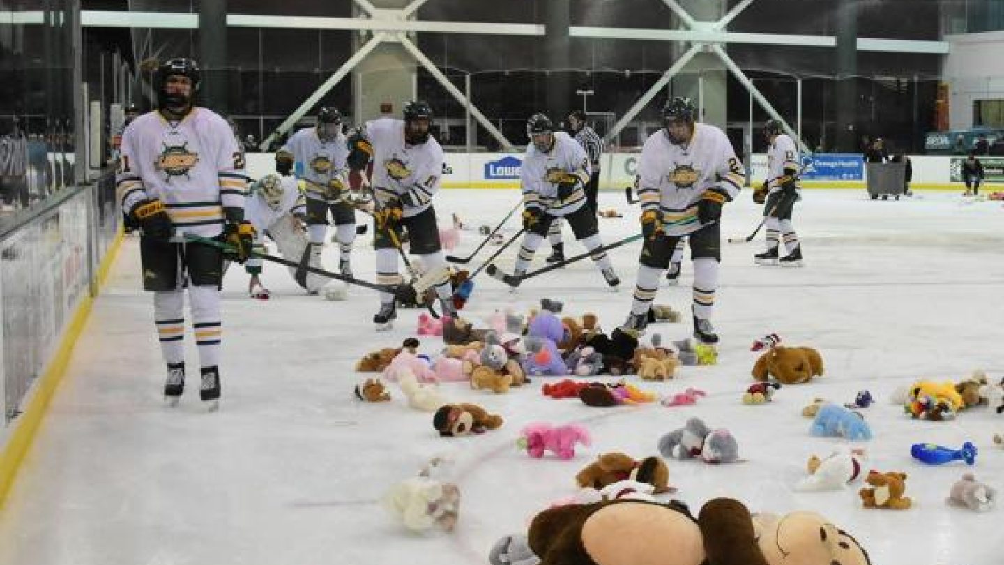 Teddy Bear Toss