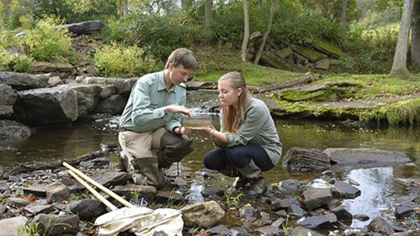 Professor and a student analyzing water samples at Rice Creek