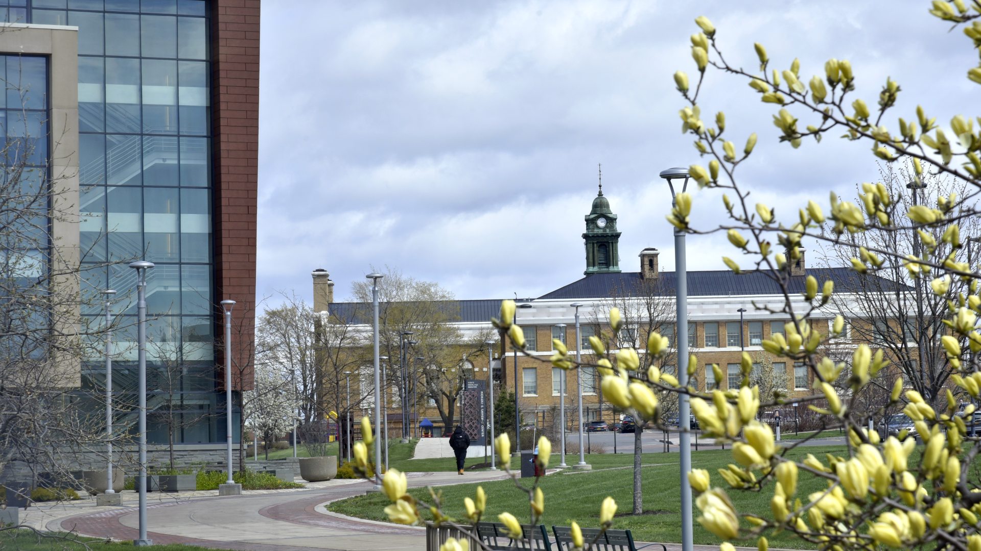 shineman with sheldon hall in the background