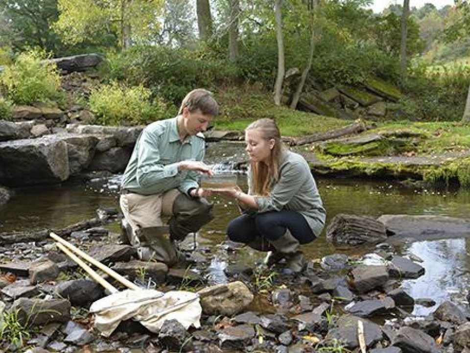 Professor and a student analyzing water samples at Rice Creek