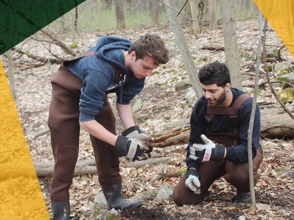 two male students working in the woods