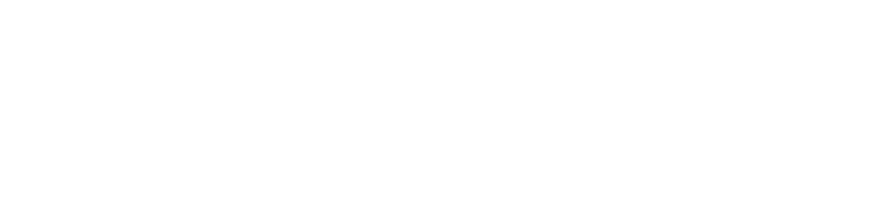 New York State of Opportunity Empire State Development