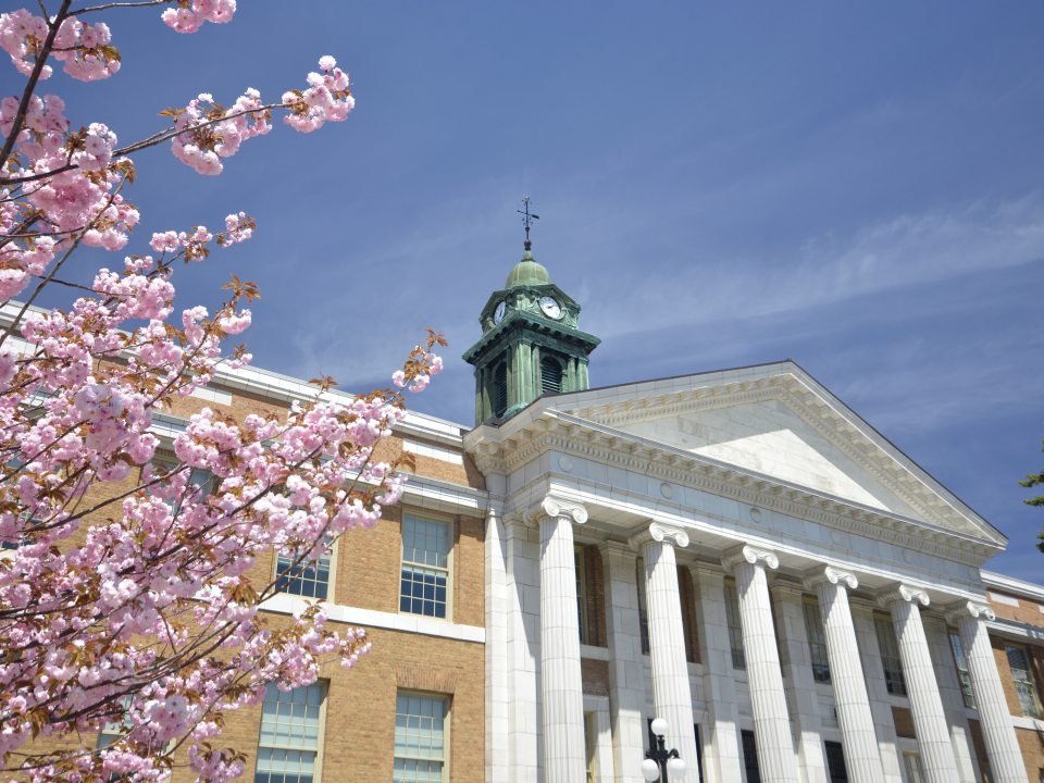 Sheldon Hall near a blossoming tree.