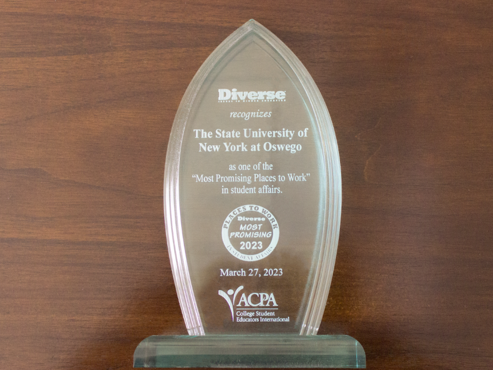 ACPA Award with brown background