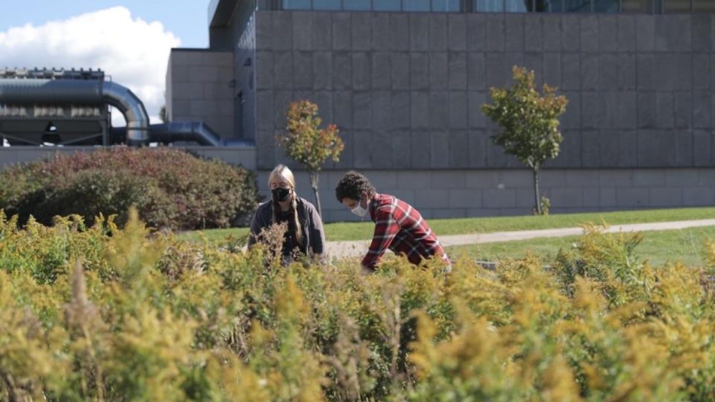 Two people working in the outdoor PLL garden