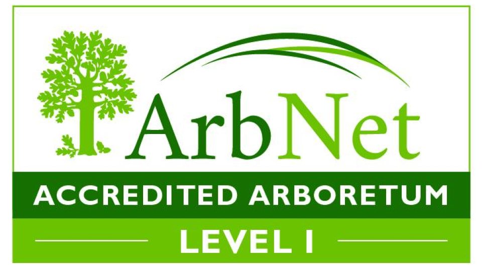ArbNet Organization logo &quot;Level 1&quot;
