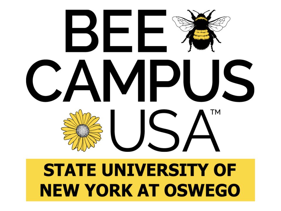 Bee Campus USA logo with a bumble bee and flower image