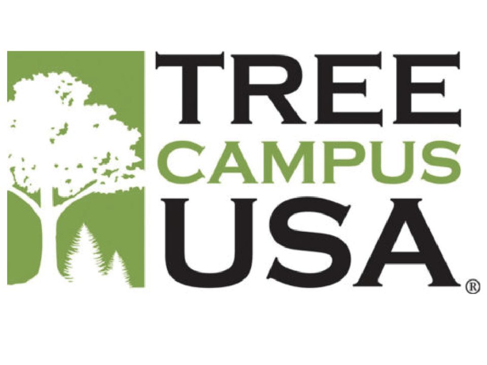 Tree Campus USA Logo with a tree imaged