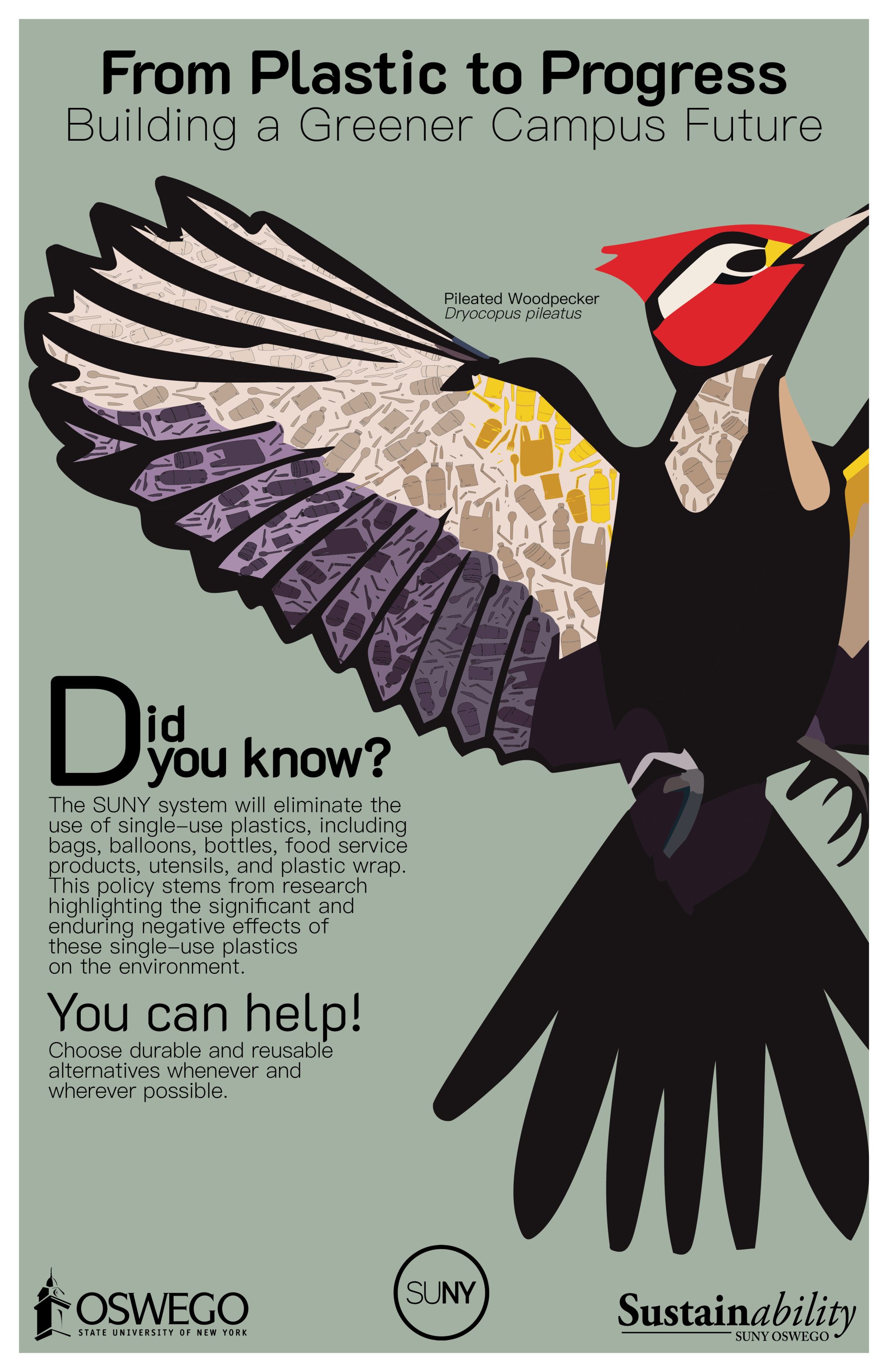 Pileated Woodpecker flying skywards with wings spread open on a poster about single use plastics