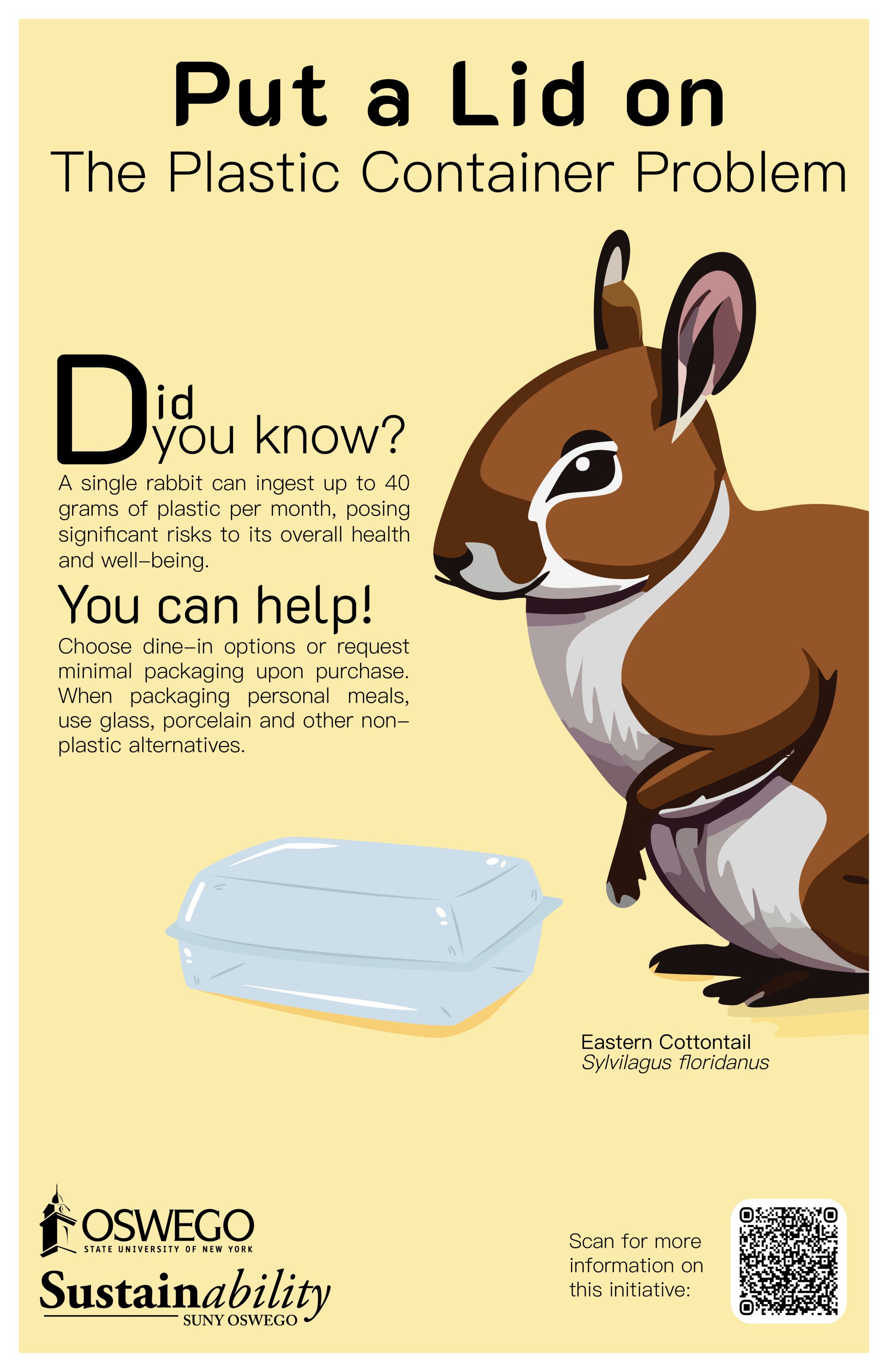 Eastern Cottontail inspecting a single use plastic container on a poster about single use plastic containers