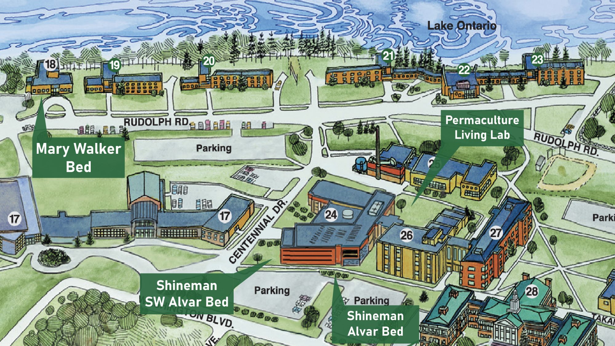 Map of SUNY Oswego Campus with the Pollinator bed locations pinned