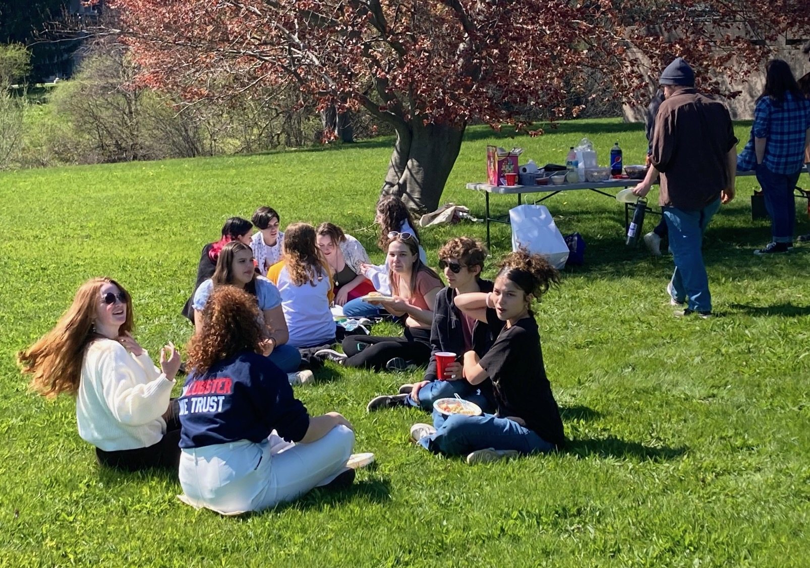 Students outside sitting on the grass