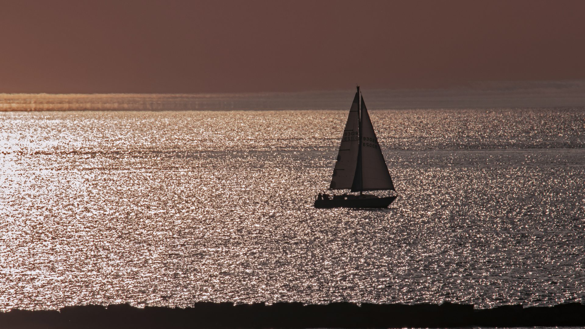 A sailboat on Lake Ontario at sunset