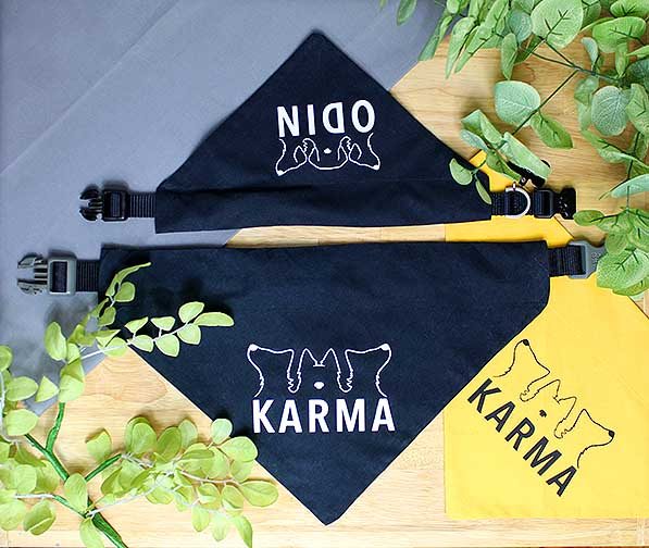 This photo is a product shot of Karma Canine Care bandanas.