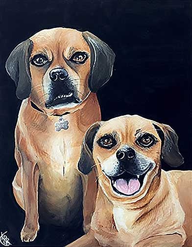 A portrait of two brown dogs with a black background.