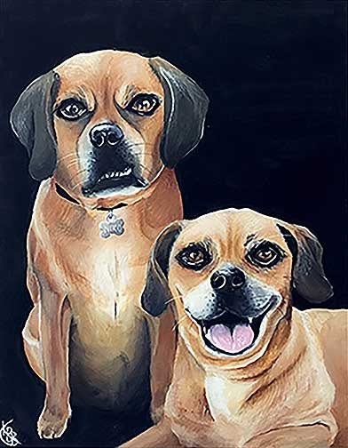 A portrait of two brown dogs with a black background.
